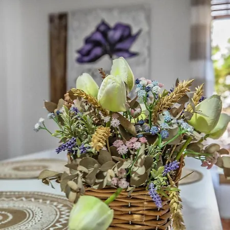 La Perla Del Centro *