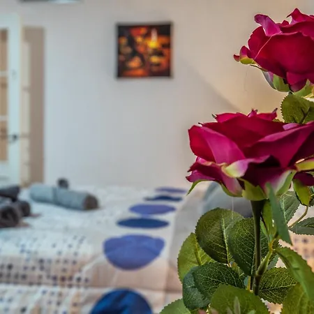 La Perla Del Centro 科爾多瓦