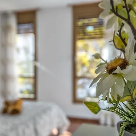 La Perla Del Centro * 科爾多瓦