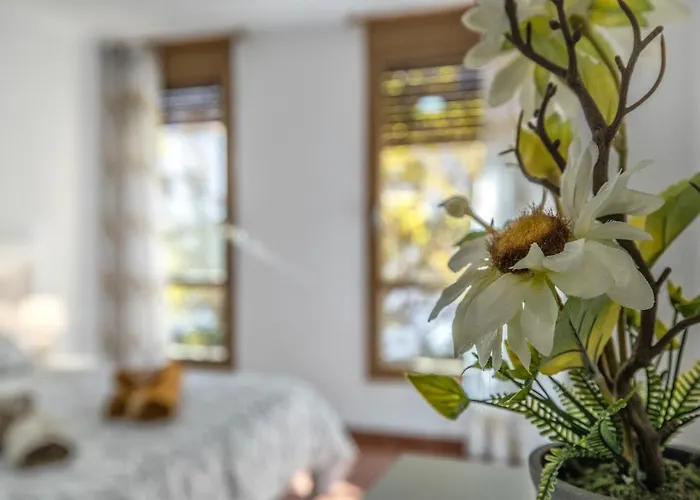 La Perla Del Centro * Cordoba